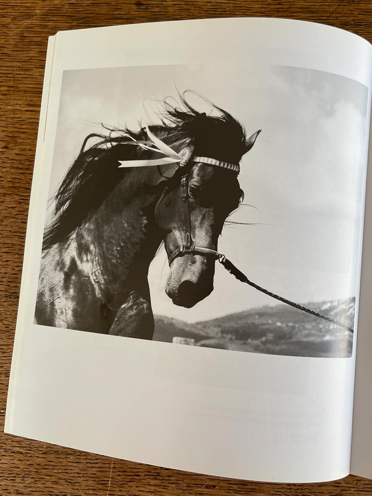 Matador Lodges Boutique Hotel Story Windsurfing Chiemsee - Matador