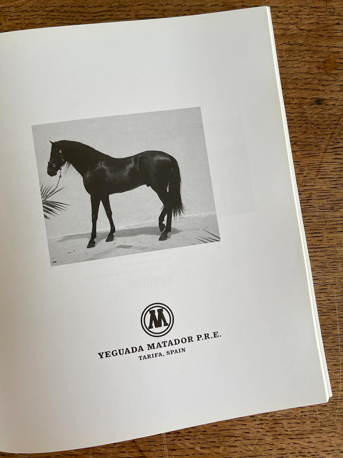 Matador Lodges Boutique Hotel Story Windsurfing Chiemsee - Matador